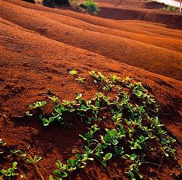 《沉没之地》steam抢先体验 水中探索经营战斗